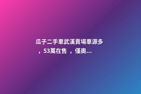 瓜子二手車武漢賣場車源多，5.3萬在售，僅奧迪品牌就有3000多輛